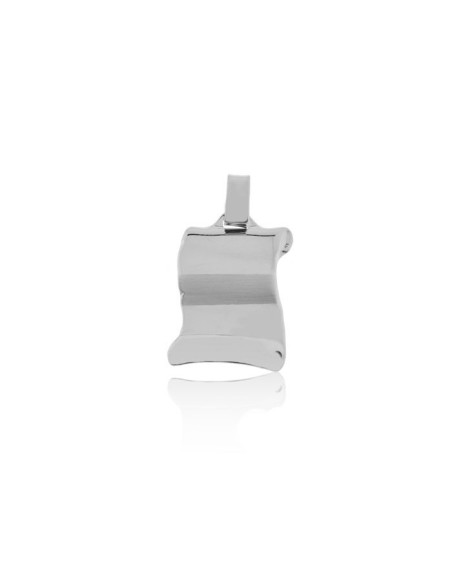 Placa Pergamino Horizontal 17x24mm. Plata