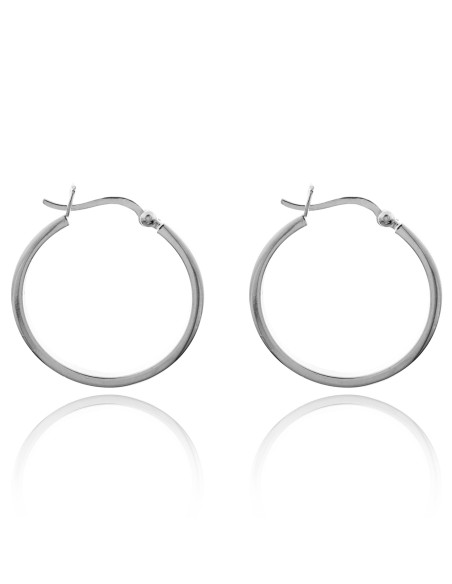 Aros Gruesos Plata 2x30mm.