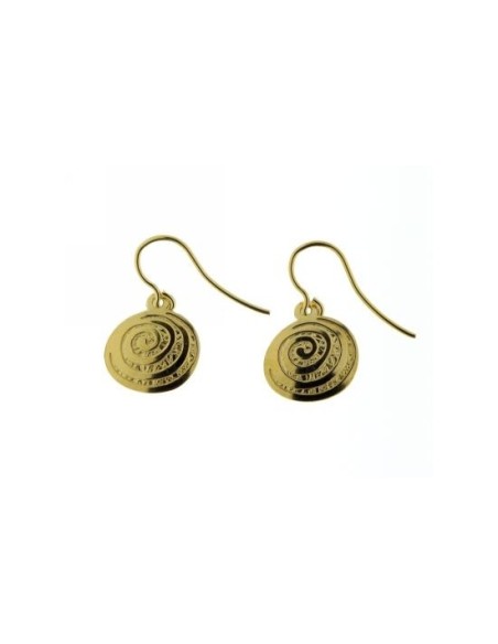 Pendientes Dorados Espiral
