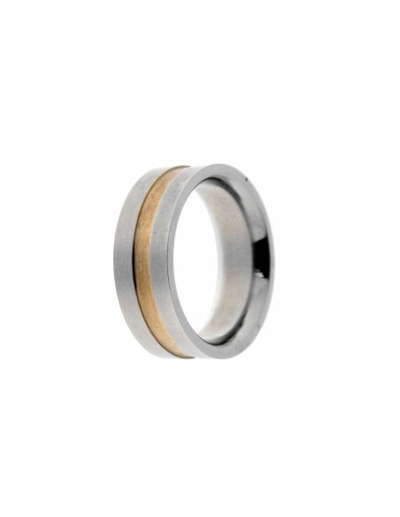 Anillo de Acero