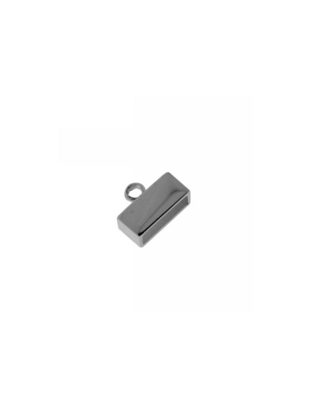 Terminal Plata