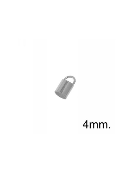 Terminal Plata