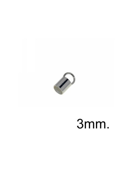 Terminal Plata