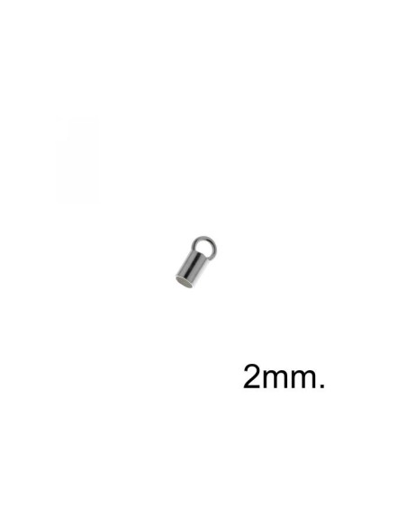 Terminal Plata