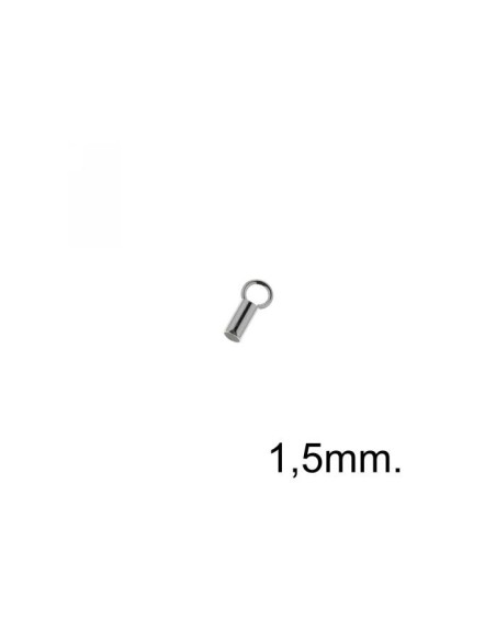 Terminal Plata