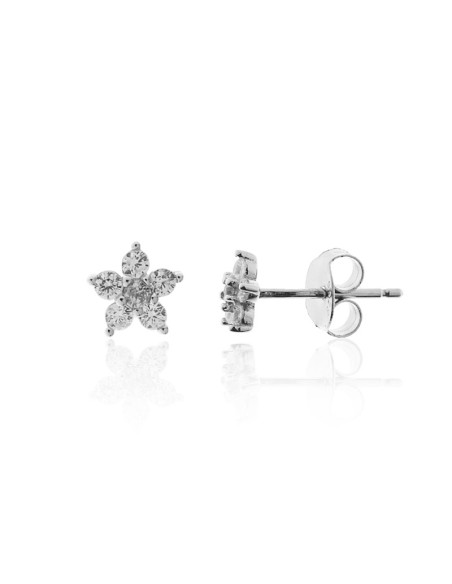 Pendientes Flor Plata